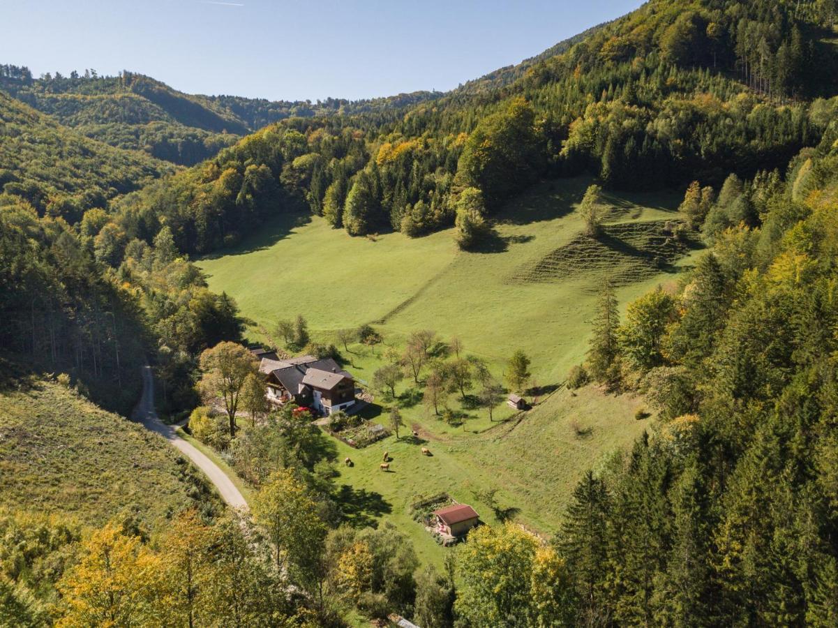 Urlaub Mitten Im Wald - Lueg Scheibbs Εξωτερικό φωτογραφία