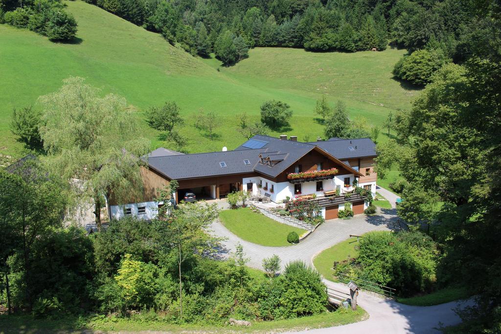 Urlaub Mitten Im Wald - Lueg Scheibbs Εξωτερικό φωτογραφία
