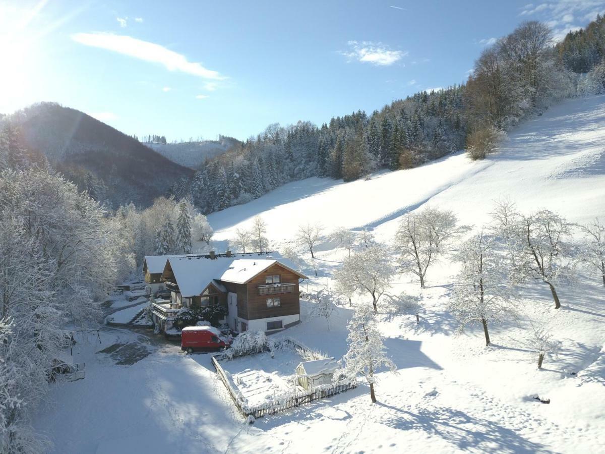 Urlaub Mitten Im Wald - Lueg Scheibbs Εξωτερικό φωτογραφία
