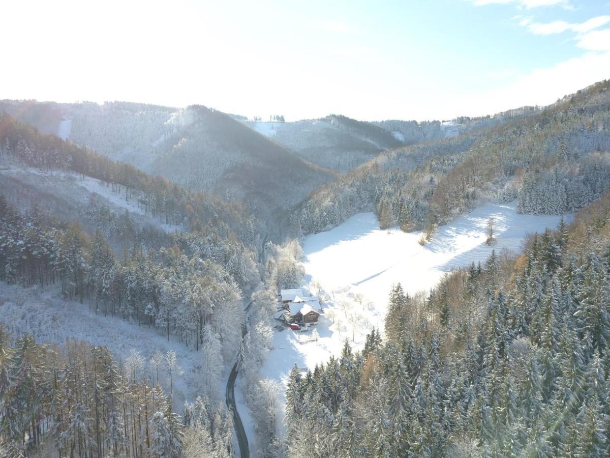 Urlaub Mitten Im Wald - Lueg Scheibbs Εξωτερικό φωτογραφία