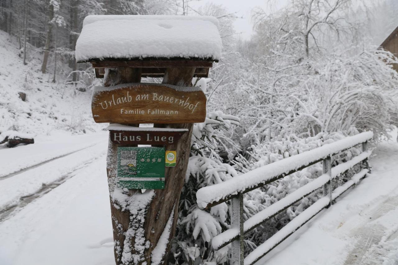 Urlaub Mitten Im Wald - Lueg Scheibbs Εξωτερικό φωτογραφία